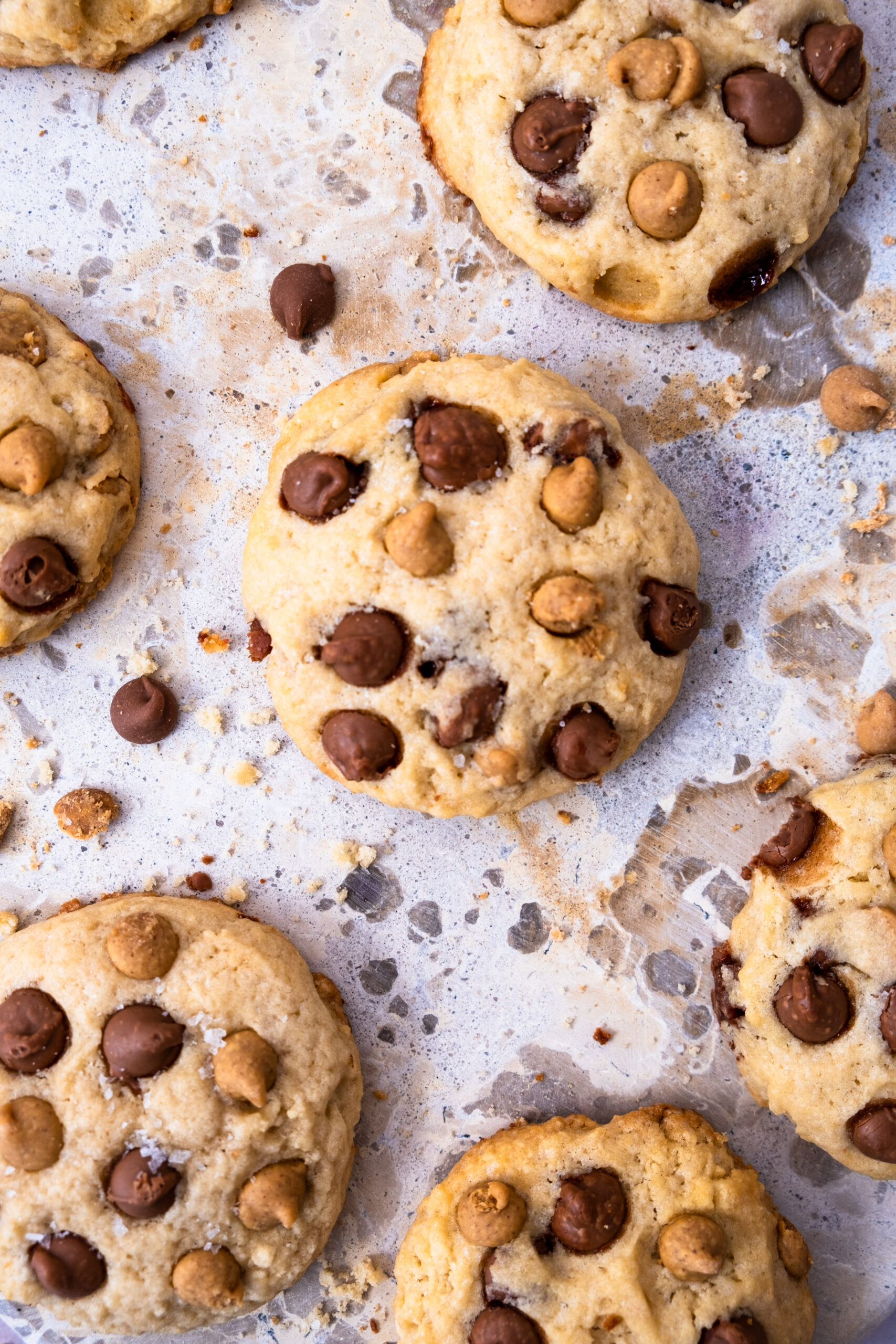 Soft Peanut Butter Chip Chocolate Chip Cookies - Athlete Lunchbox